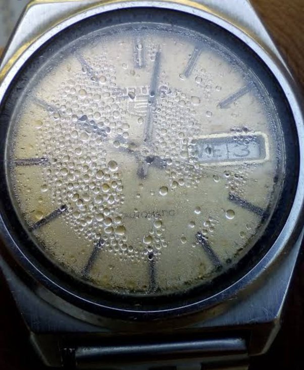 Watch Moisture Repair WatchModz